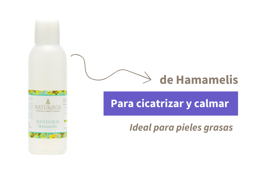 Agua Floral de Hamamelis para cicatrizar y calmar, ideal para pieles grasas